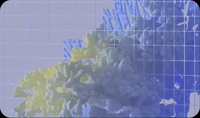 DNA Sequence
